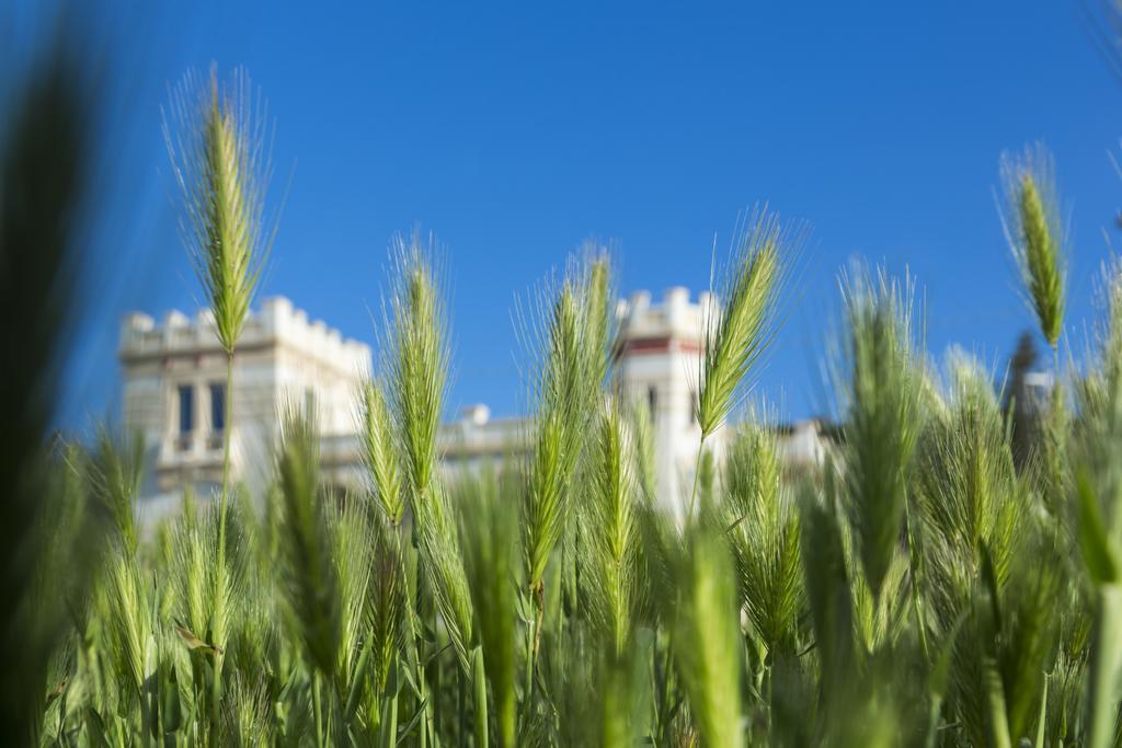 Villa Raffaella Santa Cesarea Terme Eksteriør bilde